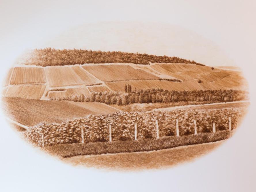 Vintage 1894 & Spa Au Coeur Du Vignoble Villers-sous-Châtillon المظهر الخارجي الصورة